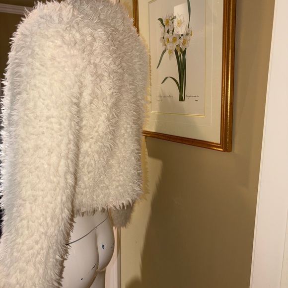 Chic Cream Teddy Jacket - Picture 3 of 4
